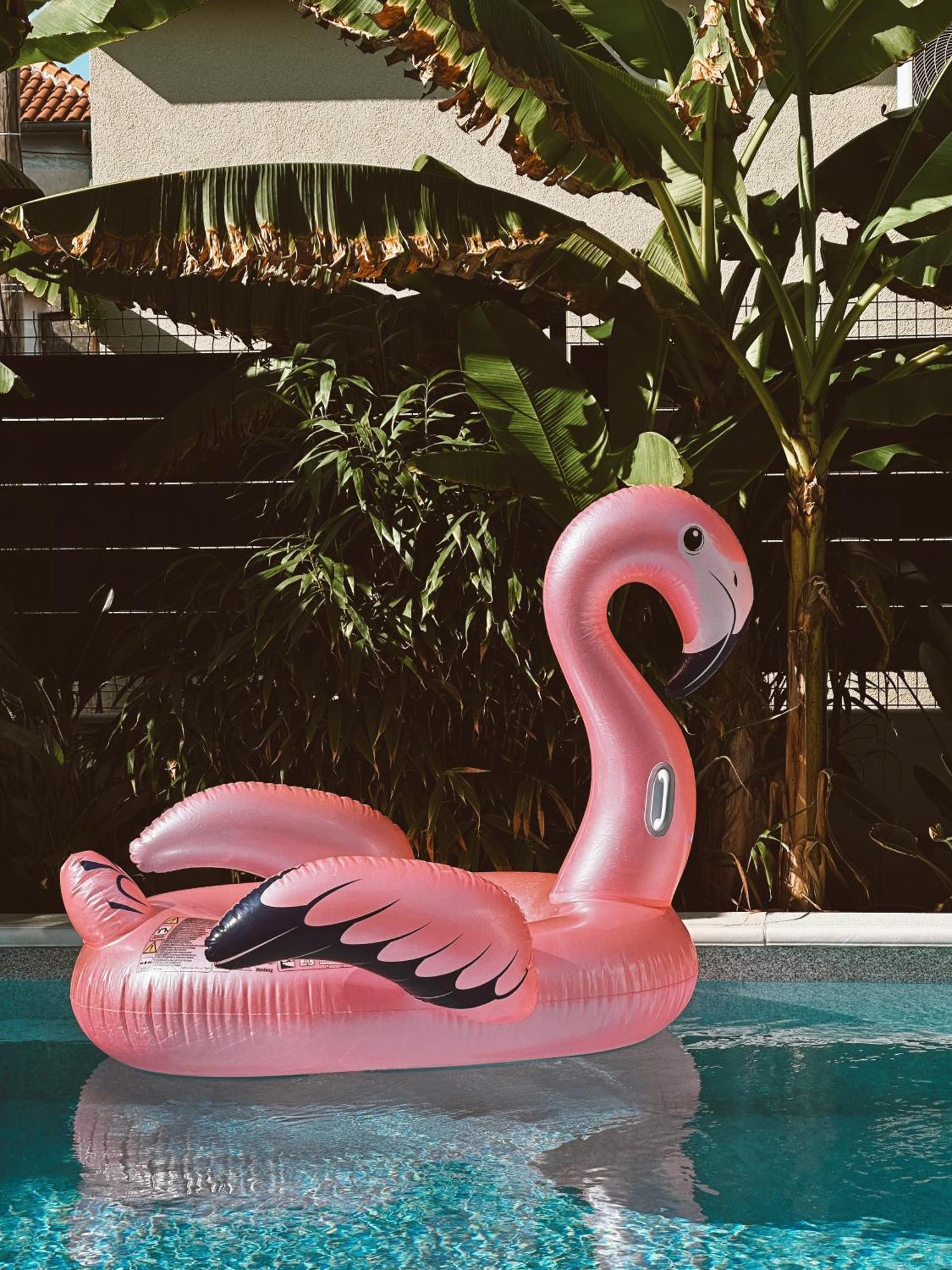 Bernie Apartments With A Pool ザダル エクステリア 写真